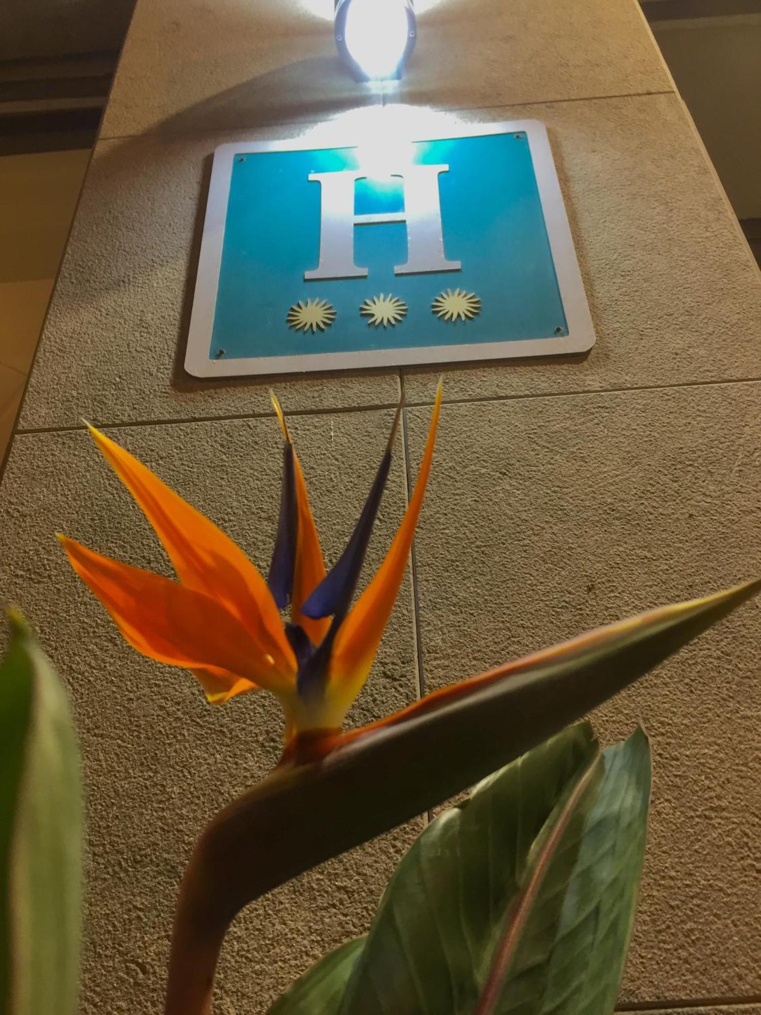 Hotel Stella Maris Blanes Kültér fotó