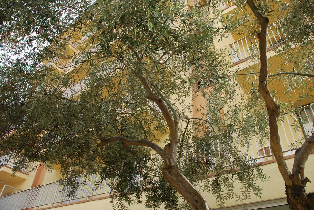 Hotel Stella Maris Blanes Kültér fotó